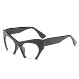 Monica Fashion Cat Eye Glasses Frame