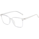 Sani Classic Glasses  Frame